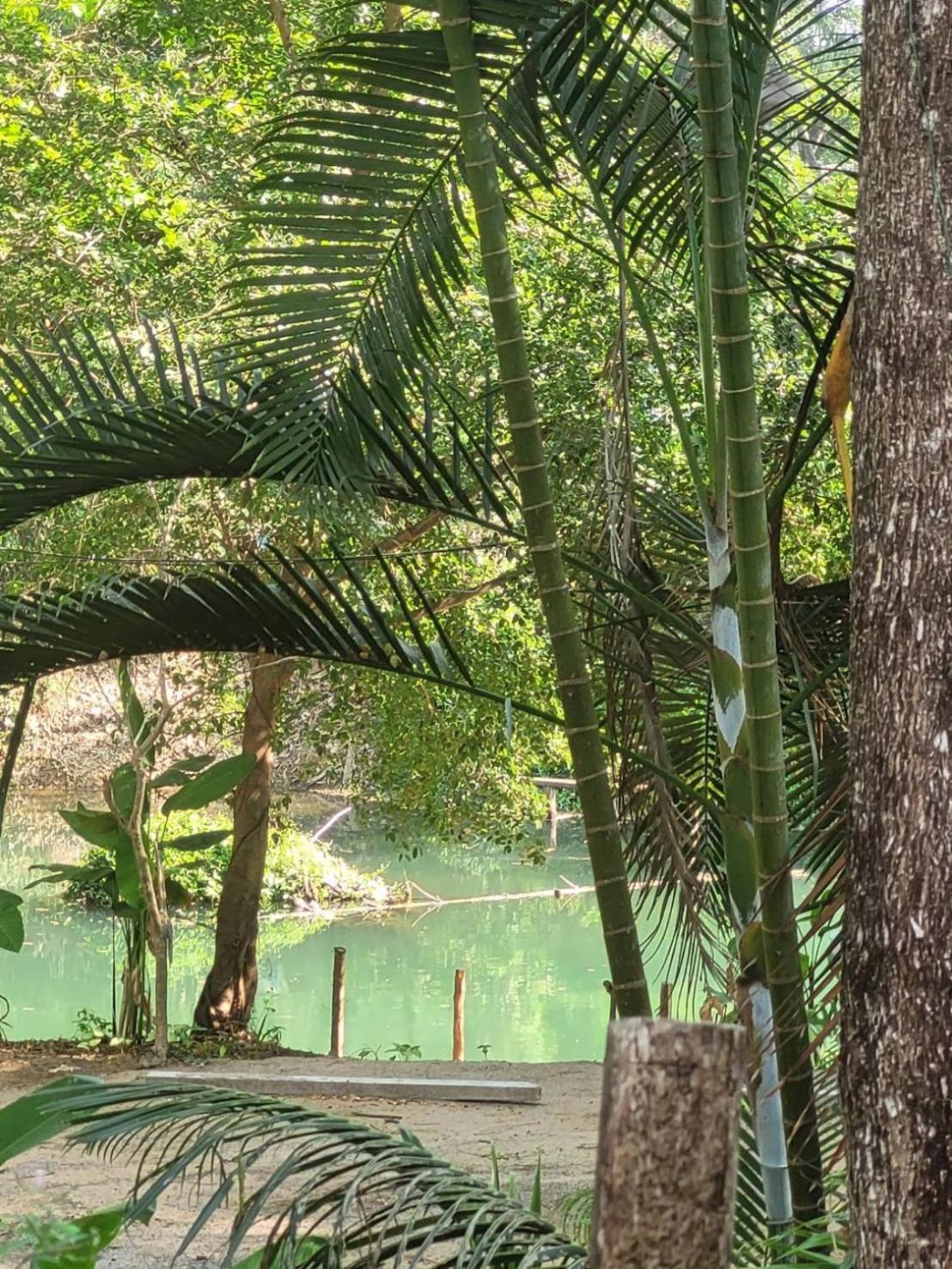 Brookhouse & Glamping Hotel Ban Khanong Phra Klang ภายนอก รูปภาพ